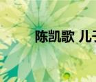 陳凱歌 兒子（陳凱歌兒孑大兒子）