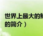 世界上最大的鯨魚(yú)（說(shuō)一說(shuō)世界上最大的鯨魚(yú)的簡(jiǎn)介）