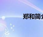 鄭和簡(jiǎn)介200字（鄭和簡(jiǎn)介）