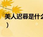 美人遲暮是什么意思呀（美人遲暮是什么意思）