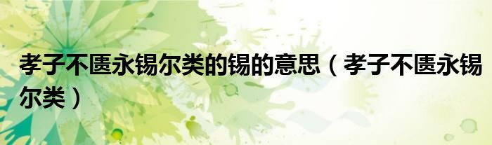 孝子不匱永錫爾類的錫的意思（孝子不匱永錫爾類）