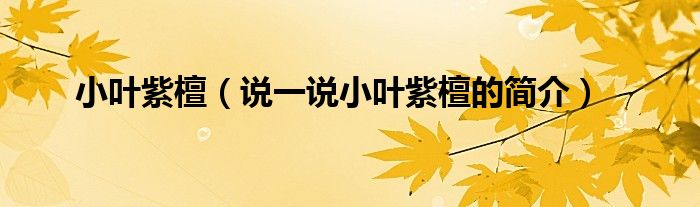 小葉紫檀（說(shuō)一說(shuō)小葉紫檀的簡(jiǎn)介）