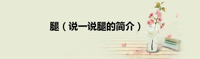 腿（說(shuō)一說(shuō)腿的簡(jiǎn)介）
