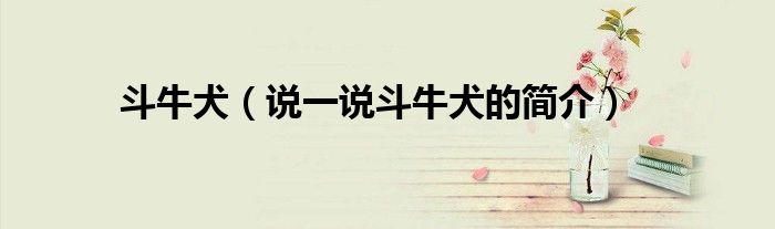 斗牛犬（說一說斗牛犬的簡介）
