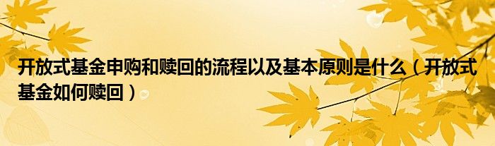 開(kāi)放式基金申購(gòu)和贖回的流程以及基本原則是什么（開(kāi)放式基金如何贖回）
