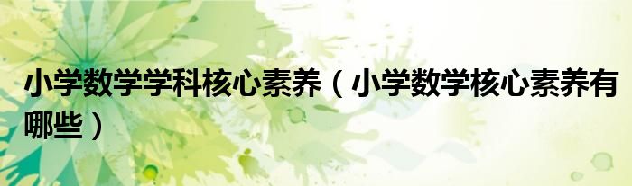 小學(xué)數(shù)學(xué)學(xué)科核心素養(yǎng)（小學(xué)數(shù)學(xué)核心素養(yǎng)有哪些）
