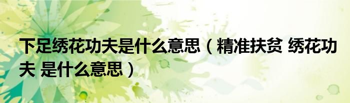 下足繡花功夫是什么意思（精準(zhǔn)扶貧 繡花功夫 是什么意思）