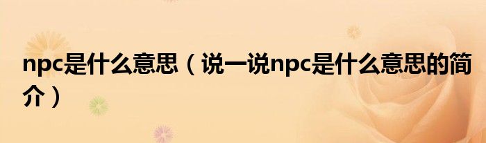 npc是什么意思（說一說npc是什么意思的簡介）