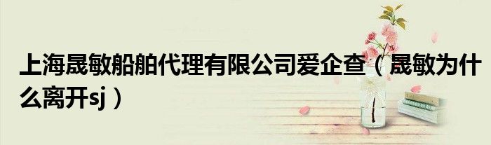 上海晟敏船舶代理有限公司愛企查（晟敏為什么離開sj）