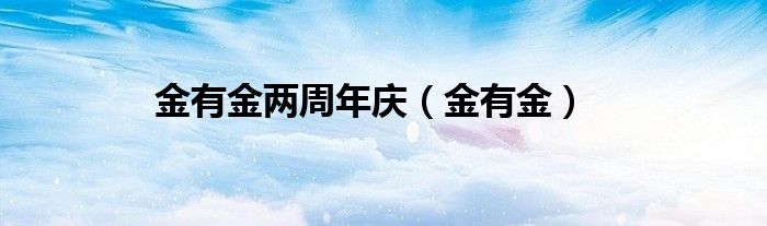 金有金兩周年慶（金有金）