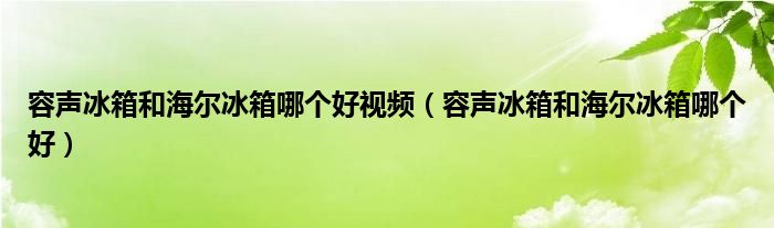 容聲冰箱和海爾冰箱哪個(gè)好視頻（容聲冰箱和海爾冰箱哪個(gè)好）