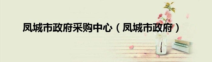 鳳城市政府采購中心（鳳城市政府）