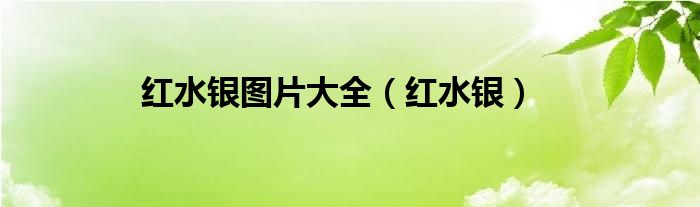 紅水銀圖片大全（紅水銀）