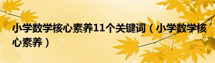 小學(xué)數(shù)學(xué)核心素養(yǎng)11個(gè)關(guān)鍵詞（小學(xué)數(shù)學(xué)核心素養(yǎng)）