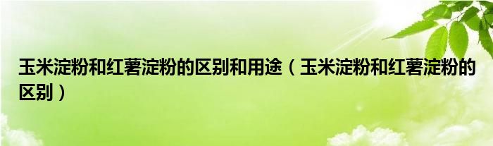 玉米淀粉和紅薯淀粉的區(qū)別和用途（玉米淀粉和紅薯淀粉的區(qū)別）