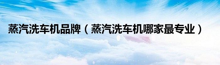 蒸汽洗車機(jī)品牌（蒸汽洗車機(jī)哪家最專業(yè)）