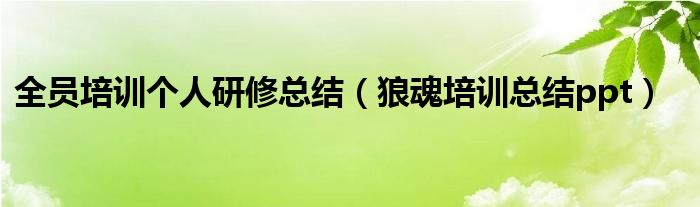 全員培訓(xùn)個(gè)人研修總結(jié)（狼魂培訓(xùn)總結(jié)ppt）