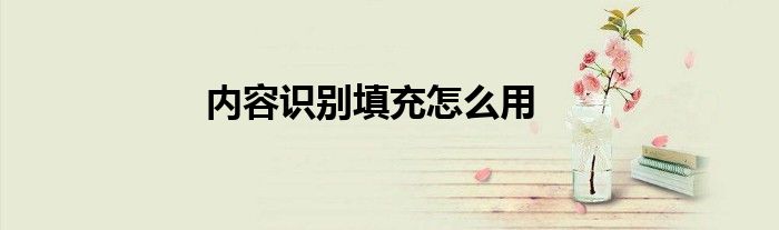 內(nèi)容識別填充怎么用