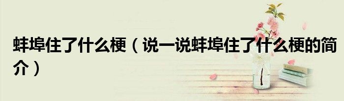 蚌埠住了什么梗（說一說蚌埠住了什么梗的簡介）