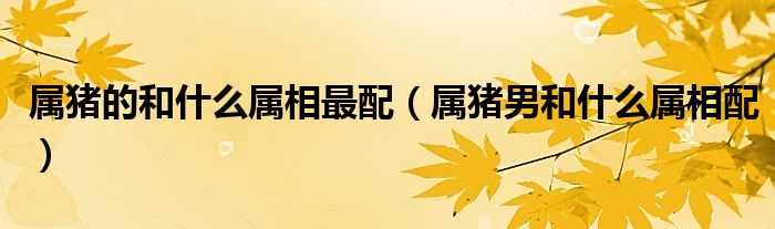 屬豬的和什么屬相最配（屬豬男和什么屬相配）