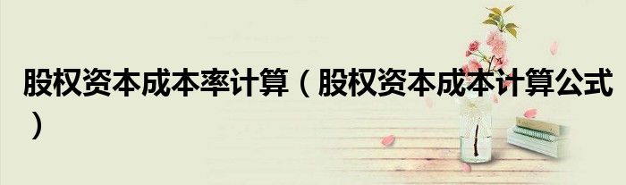 股權(quán)資本成本率計(jì)算（股權(quán)資本成本計(jì)算公式）