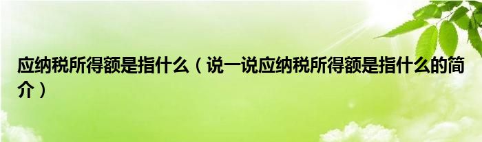 應(yīng)納稅所得額是指什么（說一說應(yīng)納稅所得額是指什么的簡介）