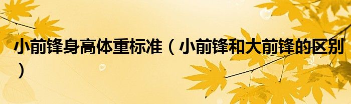 小前鋒身高體重標(biāo)準(zhǔn)（小前鋒和大前鋒的區(qū)別）