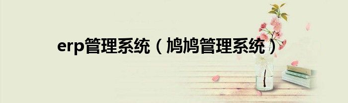 erp管理系統(tǒng)（鳩鳩管理系統(tǒng)）