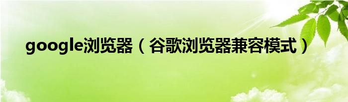 google瀏覽器（谷歌瀏覽器兼容模式）