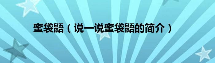 蜜袋鼯（說一說蜜袋鼯的簡介）