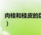肉桂和桂皮的區(qū)別在哪里（肉桂和桂皮的區(qū)別）