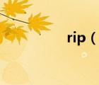 rip（說一說rip的簡介）