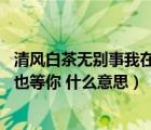 清風白茶無別事我在等風也等你（白茶清歡無別事 我在等風也等你 什么意思）