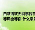 白茶清歡無別事我在等風也等你意思（白茶清歡無別事 我在等風也等你 什么意思）