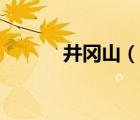 井岡山（說(shuō)一說(shuō)井岡山的簡(jiǎn)介）