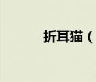 折耳貓（說一說折耳貓的簡介）