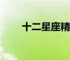 十二星座精靈王國（十二星座精靈）