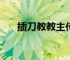 插刀教教主傳奇電視劇（插刀教教主）