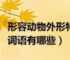 形容動物外形特點的四字詞語（含動物的四字詞語有哪些）