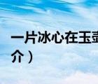 一片冰心在玉壺（說一說一片冰心在玉壺的簡介）