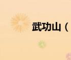 武功山（說一說武功山的簡介）