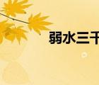 弱水三千只取一瓢飲什么意思