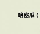 哈密瓜（說一說哈密瓜的簡介）