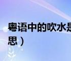 粵語中的吹水是什么意思（粵語吹水是什么意思）