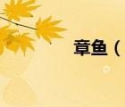 章魚（說一說章魚的簡介）