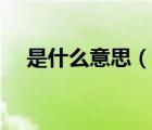 是什么意思（說一說是什么意思的簡介）