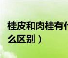 桂皮和肉桂有什么區(qū)別視頻（桂皮和肉桂有什么區(qū)別）