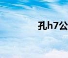 孔h7公差是多少（h7公差）