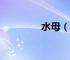 水母（說(shuō)一說(shuō)水母的簡(jiǎn)介）