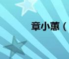 章小蕙（說一說章小蕙的簡介）